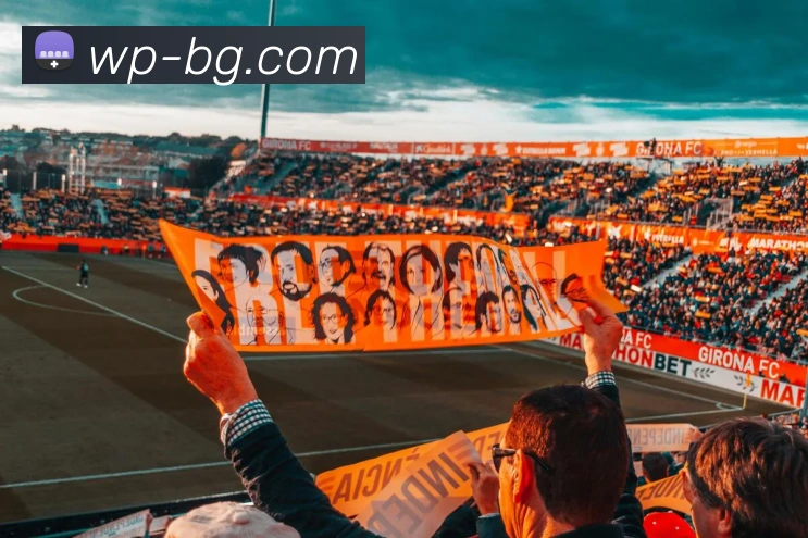 BG大游官网服务体系